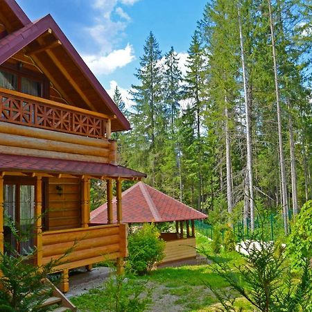 Apartamento Knyazhyi Dvir Strigalnya Exterior foto