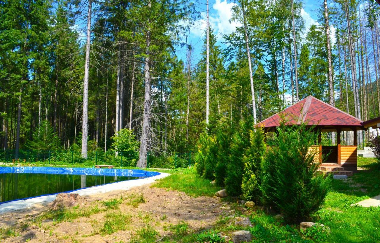 Apartamento Knyazhyi Dvir Strigalnya Exterior foto
