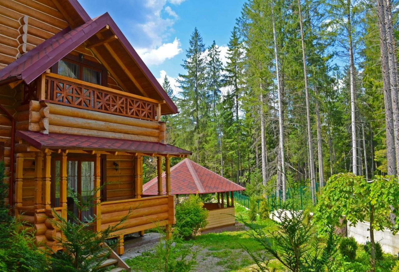 Apartamento Knyazhyi Dvir Strigalnya Exterior foto